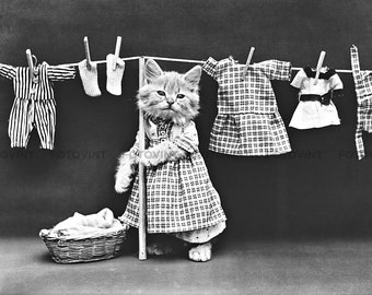 Vintage KITTEN CAT Photo Picture CLOTHESLINE Kitty Dressed up like People Old 1914 B&W Photograph Print 5x7, 8x10, 8.5x11, 11x14 0r 16x20