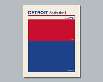 DETROIT PISTONS comparable Basketball Color Swatch Photo Picture Poster - 8x10, 8.5x11, 11x14 or 16x20 (a)