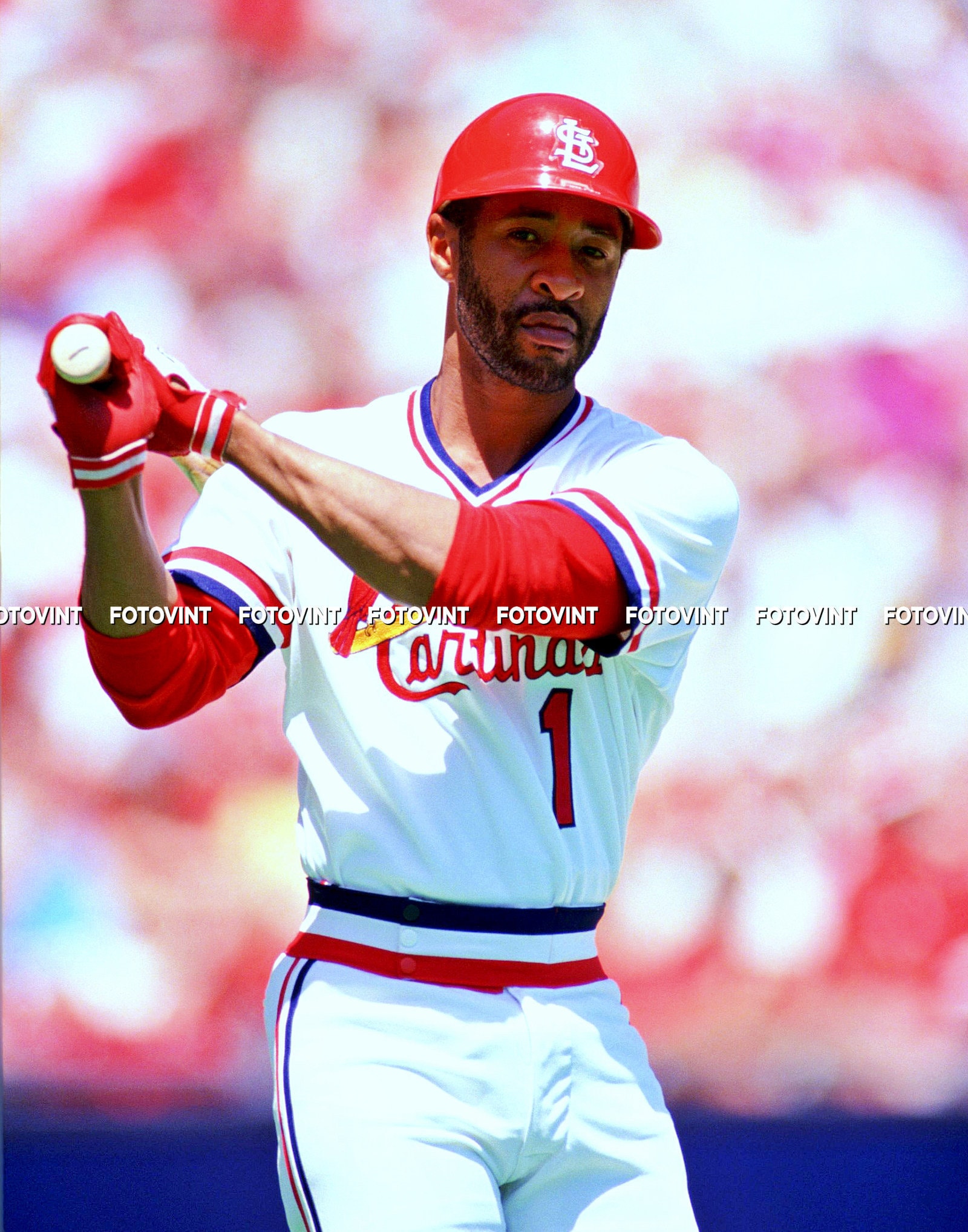 St. Louis Cardinals OZZIE SMITH Photo Picture BASEBALL Photograph Print  8x10, 8.5x11, 11x14 or 11x17 (OS2)