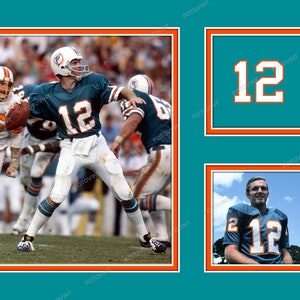 BOB GRIESE VINTAGE MIAMI DOLPHINS THROWBACK JERSEY, CHAMPION, VINTAGE  COLLECTION