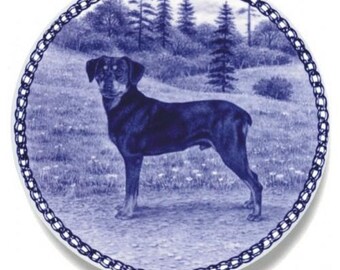 smaland hound for sale