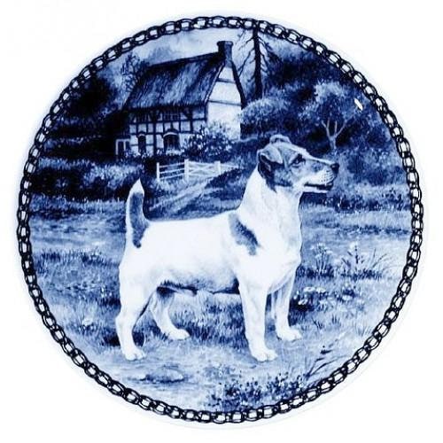 Blue merle jack russell disimular terrier