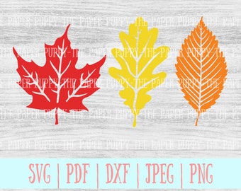 Download Free Fall Leaf Silhouette Etsy SVG Cut Files