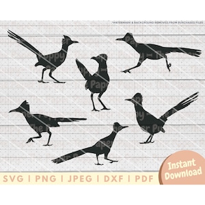 Roadrunner SVG File - PNG, PDF, Dxf, Cut File for Cutters & More - Road Runner Bird Instant Digital Download - Roadrunner Silhouette Clipart