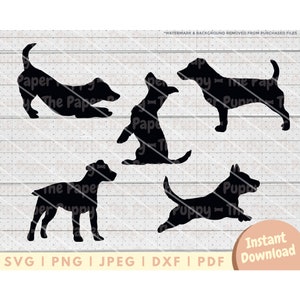 Jack Russell SVG - PNG, Pdf, Dxf, Cut File for Cutters & More - Jack Russell Terrier Silhouette Digital Download - Dog Clipart Vector