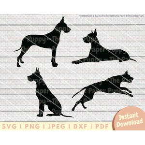 Great Dane SVG - PNG, Pdf, Dxf, Cut File for Cutters and More - Great Dane Silhouette Instant Digital Download - Great Dane Dog Clipart
