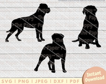 English Mastiff SVG File - PNG, PDF, Dxf, Cut File for Cutters and More - Mastiff Silhouette Instant Digital Download - Clipart Vector