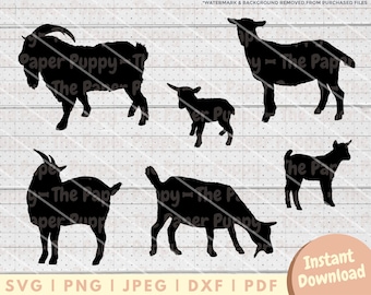 Nigerian Dwarf Goat SVG File - Goat Silhouette Clipart - PNG, PDF, Dxf, Cut File for Cutters & More - Goat Instant Digital Download