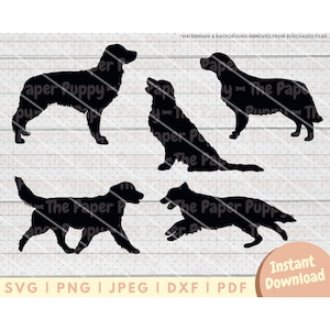 Golden Retriever Silhouette SVG - PNG, Pdf, Dxf, Schnittdatei für Schneider & mehr - Retriever Hund Digitaler Download - Golden Retriever Clipart