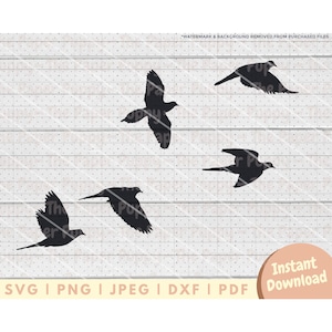 May include: Silhouette of four black birds flying in different directions against a white woodgrain background. The birds are in flight, with their wings spread out. The image is a simple design that could be used for a variety of purposes, such as a logo, a graphic, or a decorative element.