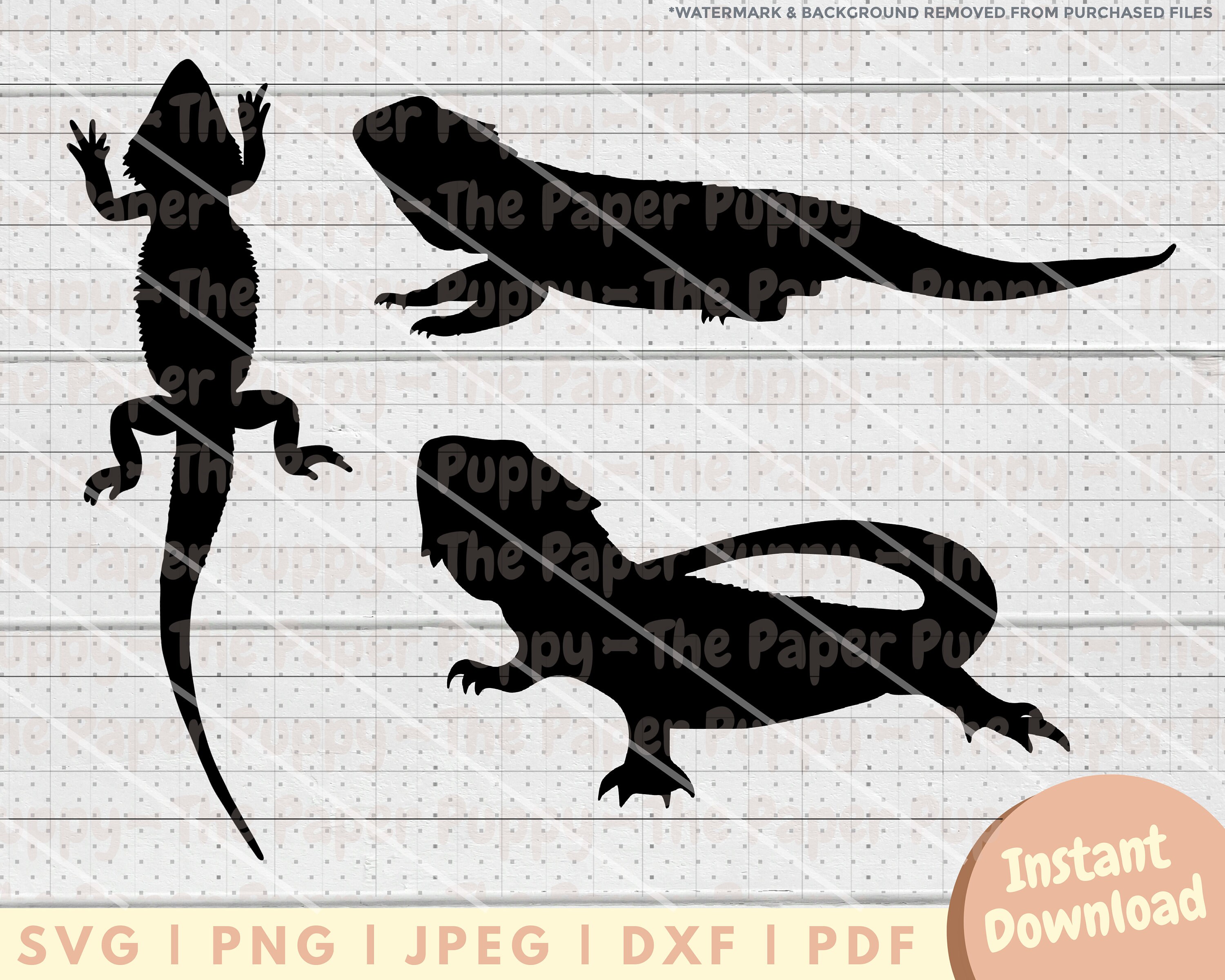 Bearded Dragon SVG File - PNG, PDF, Dxf, Cut File for Cutters and More ...