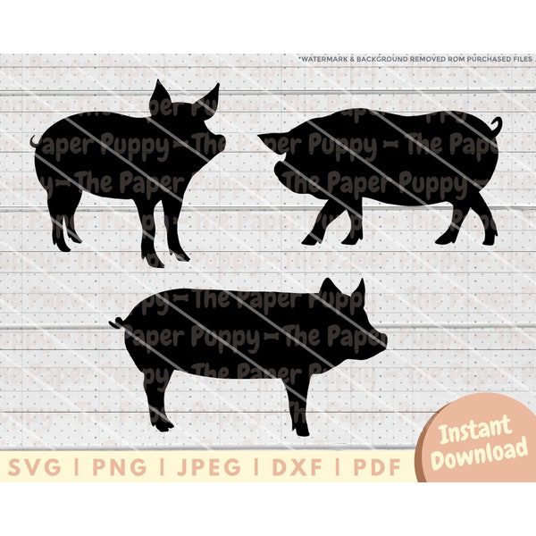 Pig Silhouette SVG File - PNG, PDF, Dxf, Cut File for Cutters and More - Pot Belly Pig Instant Digital Download - Clipart Vector