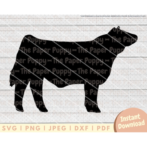 Show Steer SVG File - PNG, PDF, Dxf, Cut File for Cutters and More - Steer Silhouette Instant Digital Download - Clipart Vector