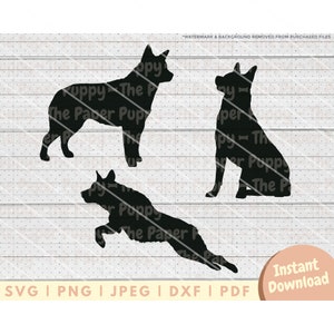 Heeler SVG - PNG, Pdf, Dxf, Cut File for Cutters and More - Australian Cattle Dog Silhouette Instant Digital Download - Dog Clipart Vector