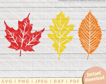 Fall Leaf SVG - PNG, PDF, Dxf, Cut File for Cutters and More - Leaves Silhouette Instant Digital Download - Fall Clipart Vector