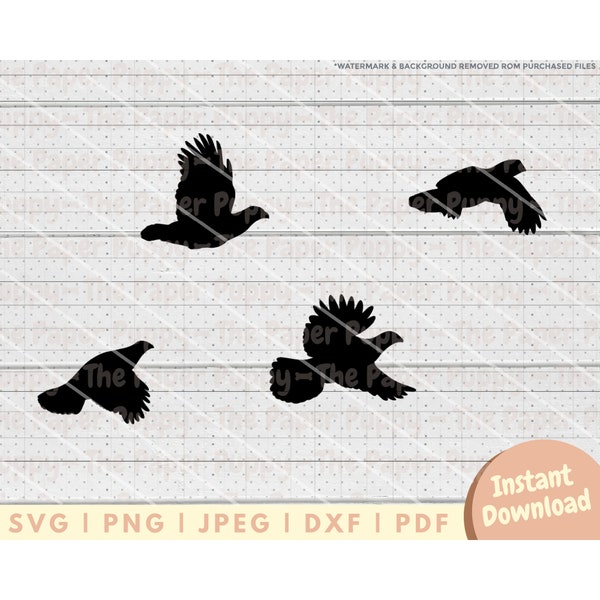 Flying Quail SVG File - PNG, PDF, Dxf, Cut File for Cutters and More - Bird Hunting Instant Digital Download - Quail Clipart Vector