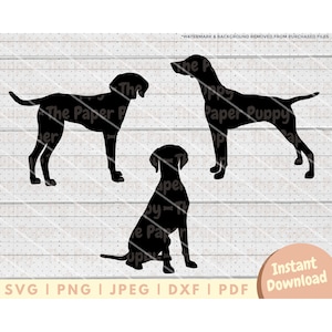 Archivo Vizsla SVG - PNG, PDF, Dxf, archivo de corte para cortadores y más - Descarga digital instantánea de silueta Vizsla - Vector de imágenes prediseñadas