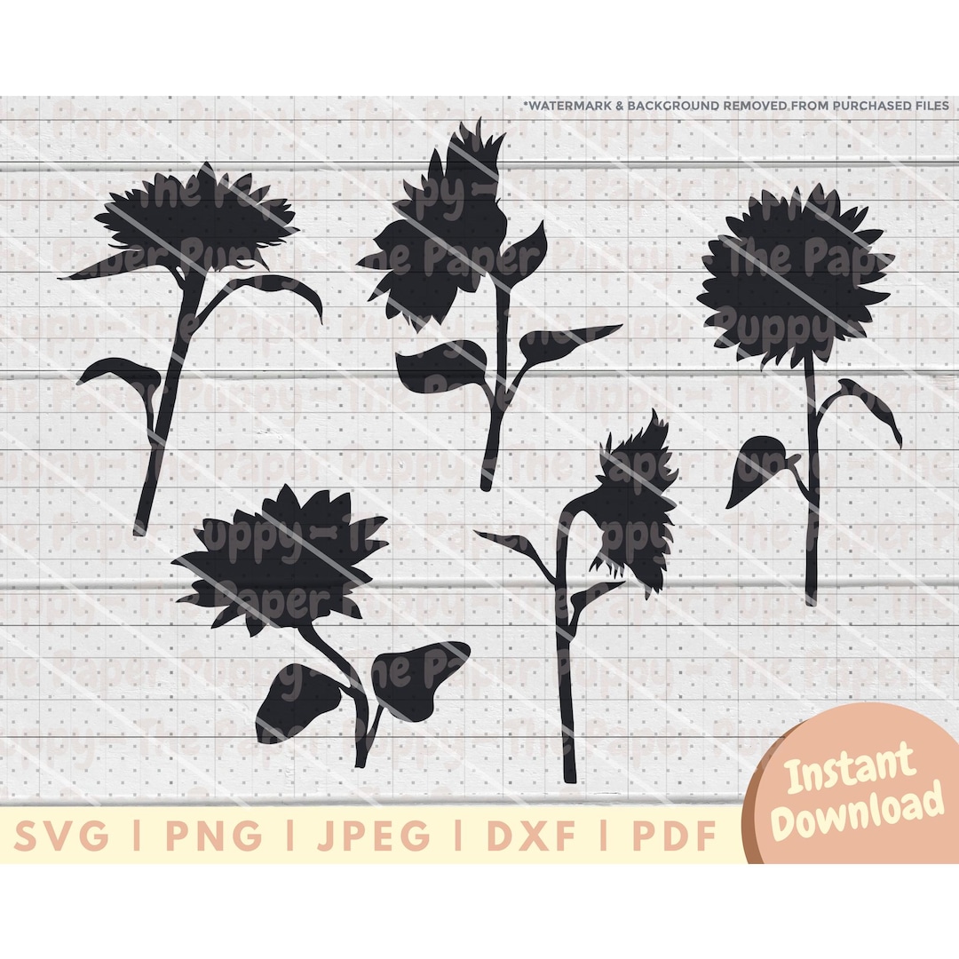 Sunflower SVG File - PNG, PDF, Dxf, Cut File for Cutters & More ...