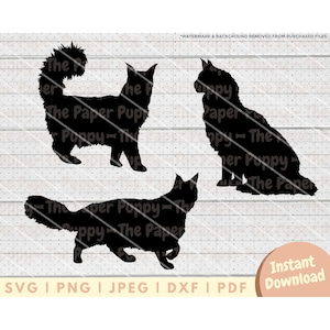 Fichier SVG Maine Coon Cat - PNG, PDF, Dxf, fichier de coupe pour emporte-pièces et plus - Silhouette de chat Maine Coon - chat numérique téléchargement illustration vectorielle
