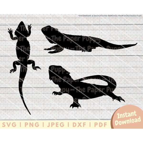 Bearded Dragon SVG File - PNG, PDF, Dxf, Cut File for Cutters and More - Bearded Dragon Silhouette Instant Digital Download - Clipart Vector