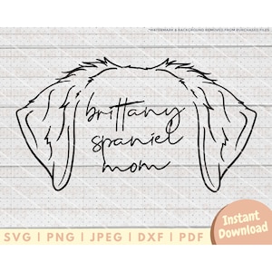 File SVG dell'orecchio Brittany Spaniel - PNG, PDF, Dxf, file di taglio per frese e altro ancora - File di taglio mamma Brittany Spaniel - Scarica contorno orecchio cane
