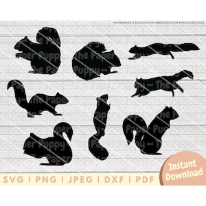 May include: A set of ten black silhouette images of squirrels in various poses. The squirrels are all facing different directions and some are holding nuts.