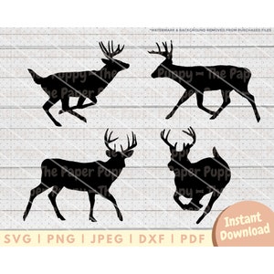Bundle de fichiers SVG cerf de Virginie - PNG, PDF, Dxf, fichier de coupe pour emporte-pièces et plus - téléchargement numérique instantané de chasse au cerf - vecteur Clipart Buck