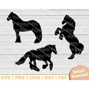 Archivo SVG Gypsy Vanner - PNG, PDF, Dxf, archivo de corte para cortadores y más - Descarga digital instantánea de silueta de caballo - Vector de imágenes prediseñadas