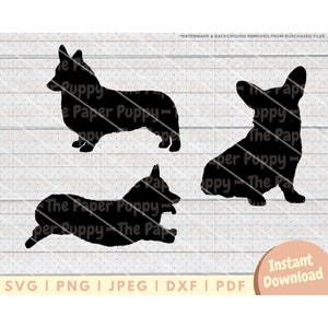 Corgis SVG-Datei - PNG, PDF, Dxf, Schnittdatei für Schneideplotter und mehr - Corgis Silhouette Sofortiger digitaler Download - Clipart Vektor