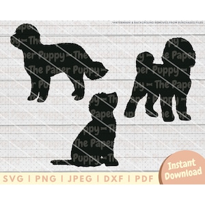 Cockapoo SVG File - PNG, PDF, Dxf, Cut File for Cutters and More - Cockerdoodle Silhouette Instant Digital Download - Dog Clipart Vector