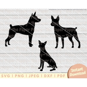 Rat Terrier SVG File - PNG, PDF, Dxf, Cut File for Cutters and More - Rat Terrier Silhouette Instant Digital Download - Dog Clipart Vector