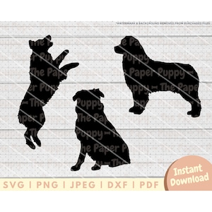 Australian Shepherd SVG File - PNG, PDF, Dxf, Cut File for Cutters and More - Aussie Silhouette Instant Digital Download - Clipart Vector