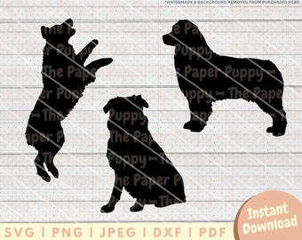 Australian Shepherd SVG File - PNG, PDF, Dxf, Cut File for Cutters and More - Aussie Silhouette Instant Digital Download - Clipart Vector