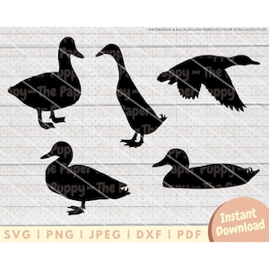 Duck Silhouette SVG Bundle - PNG, PDF, Dxf, Cut File for Cutters and More - Duck Digital Download - Clipart Vector