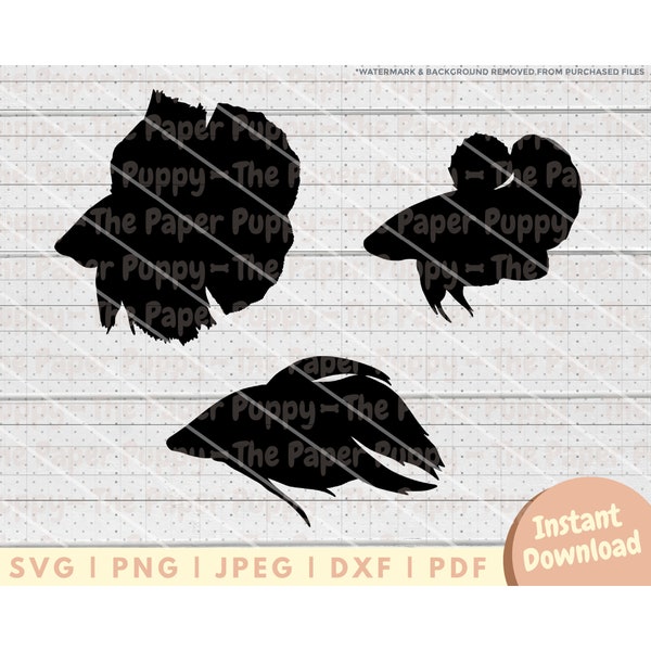 Betta SVG File - PNG, PDF, Dxf, Cut File for Cutters and More - Plakat, Halfmoon, Veiltail Betta Silhouette Instant Digital Download Clipart