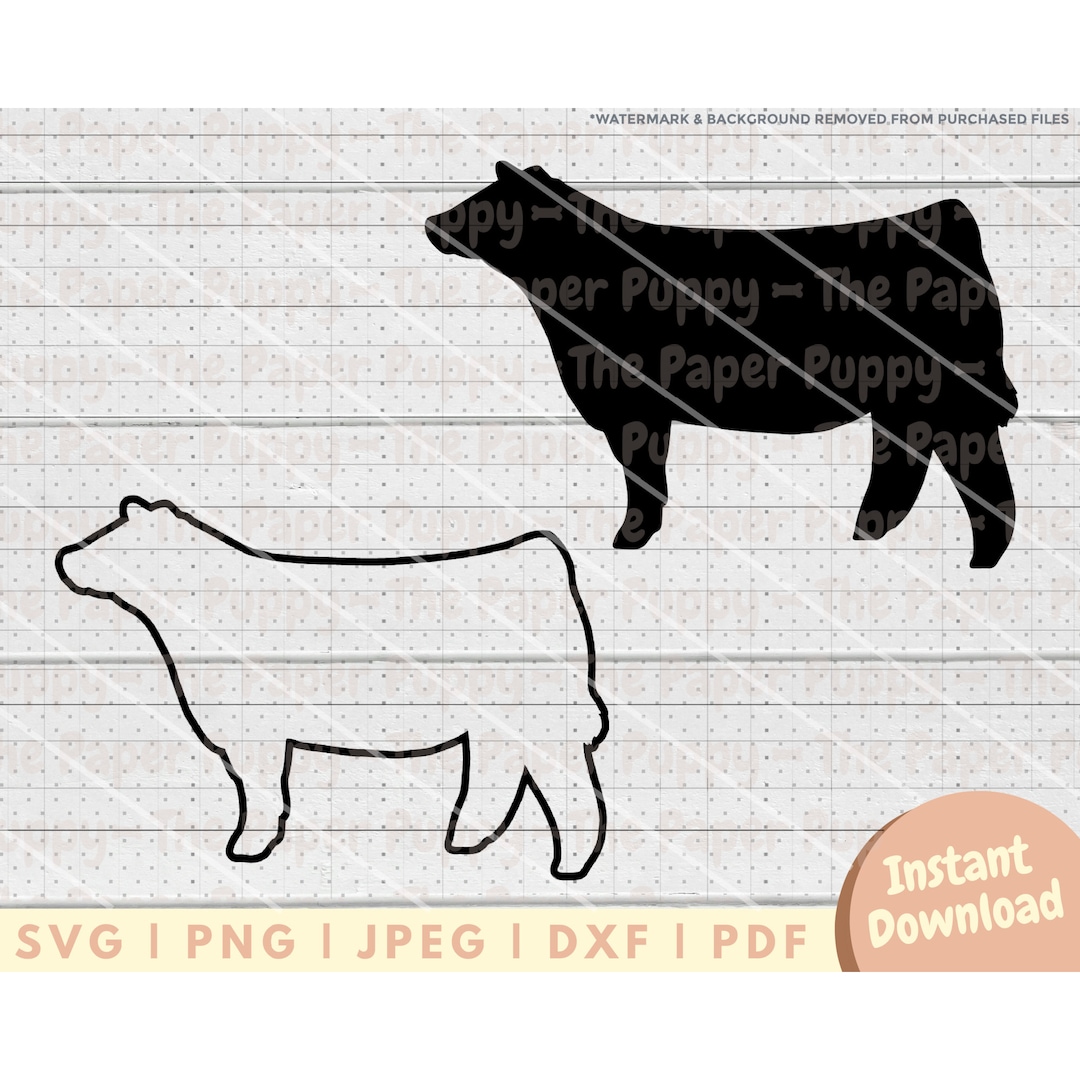 Show Heifer SVG File - PNG, PDF, Dxf, Cut File for Cutters and More ...