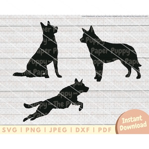 Heeler SVG - PNG, Pdf, Dxf, Cut File for Cutters and More - Australian Cattle Dog Silhouette Instant Digital Download - Dog Clipart Vector