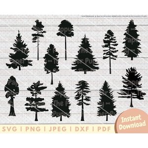 Tree Silhouette SVG - PNG, PDF, Dxf, Cut File for Cutters & More - Pine Tree Digital Download - Nature Forest Clipart - Oak, Poplar, Redwood