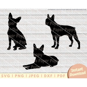 Boston Terrier SVG File - PNG, PDF, Dxf, Cut File for Cutters and More - Boston Terrier Silhouette Instant Digital Download - Clipart Vector
