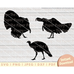 Truthahn SVG-Datei - PNG, PDF, Dxf, Schnittdatei für Schneider und mehr - Kutschen Silhouette Sofortiger digitaler Download - Clipart Vektor