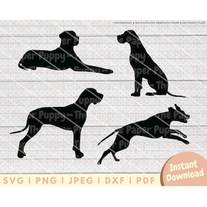 Great Dane SVG - PNG, Pdf, Dxf, Cut File for Cutters and More - Great Dane Silhouette Instant Digital Download - Great Dane Dog Clipart