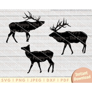 Elk SVG File Bundle - PNG, PDF, Dxf, Cut File for Cutters and More - Bull and Cow Elk Silhouette Digital Download Vector
