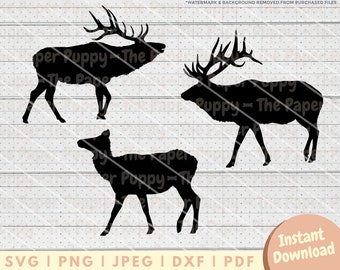 Elk SVG File Bundle - PNG, PDF, Dxf, Cut File for Cutters and More - Bull and Cow Elk Silhouette Digital Download Vector