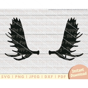 May include: A black silhouette of a pair of moose antlers. The antlers are symmetrical and have a detailed design.