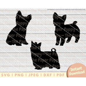 Yorkshire Terrier SVG File - PNG, PDF, Dxf, Cut File for Cutters and More - Yorkie Silhouette Instant Digital Download - Clipart Vector