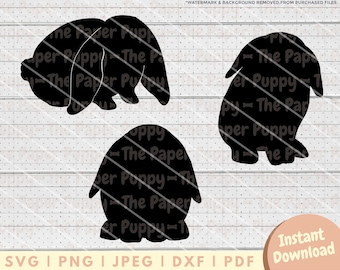 Holland Lop SVG File - PNG, PDF, Dxf, Cut File for Cutters and More - Rabbit Silhouette Instant Digital Download - Clipart Vector