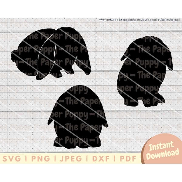 Holland Lop - Etsy