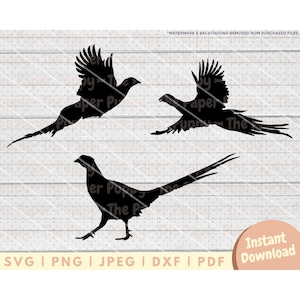 Pheasant SVG File - PNG, PDF, Dxf Cut File for Cutters and More - Pheasant Silhouette- Bird Hunting Instant Digital Download -Clipart Vector