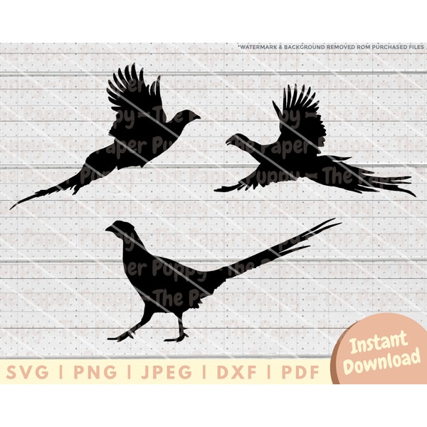 Pheasant SVG File - PNG, PDF, Dxf Cut File for Cutters and More - Pheasant Silhouette- Bird Hunting Instant Digital Download -Clipart Vector