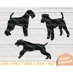 Airedale Terrier SVG - PNG, Pdf, Dxf, Cut File for Cutters and More - Airedale Silhouette Instant Digital Download - Dog Clipart Vector